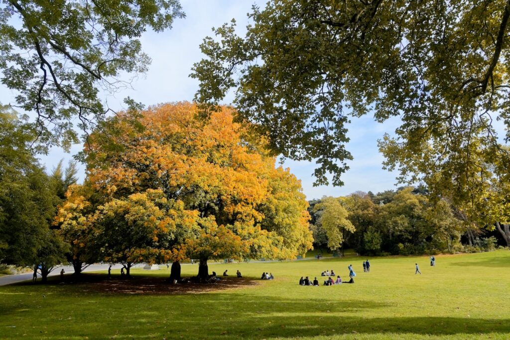 Sejour calme a Paris - Parc Montsouris. On aperçoit une pelouse verdoyante ainsi que plusieurs arbres qui offre de l'ombre aux passants.  
